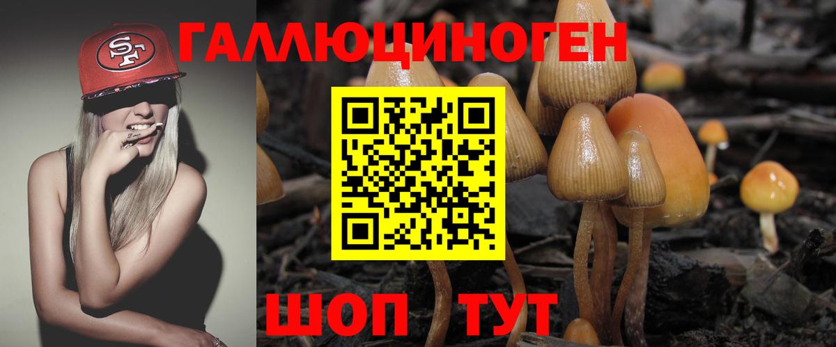 Апрелевка  Галлюциногенные грибы мицелий  Вход с VPN 