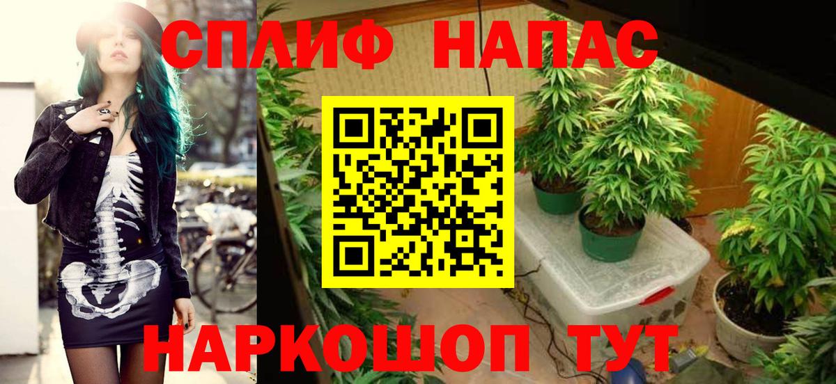Канабис OG Kush Апрелевка